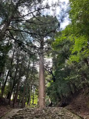 元伊勢内宮 皇大神社(京都府)