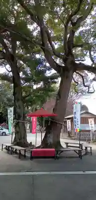 大宮・大原神社(千葉県)