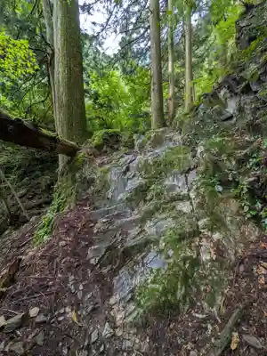 加蘇山神社 奥ノ宮の自然