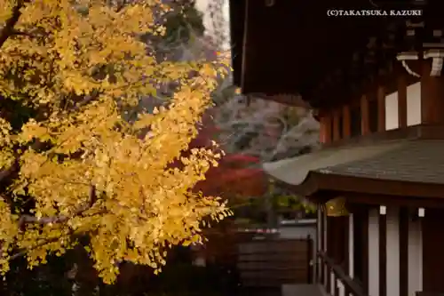 増上寺(東京都)