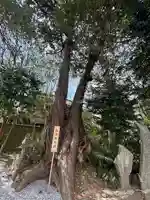 星宮神社(栃木県)