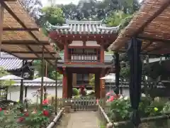 岡寺（龍蓋寺）の山門