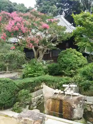 満願寺の手水舎