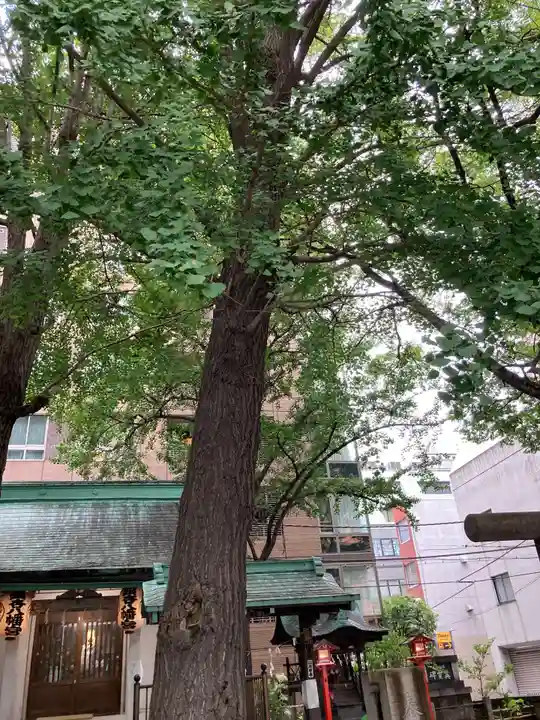 銀杏八幡宮の自然