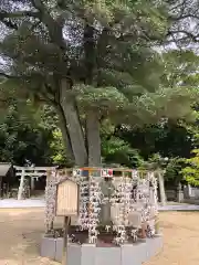 阿智神社の自然