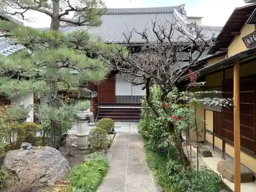 善福寺(京都府)