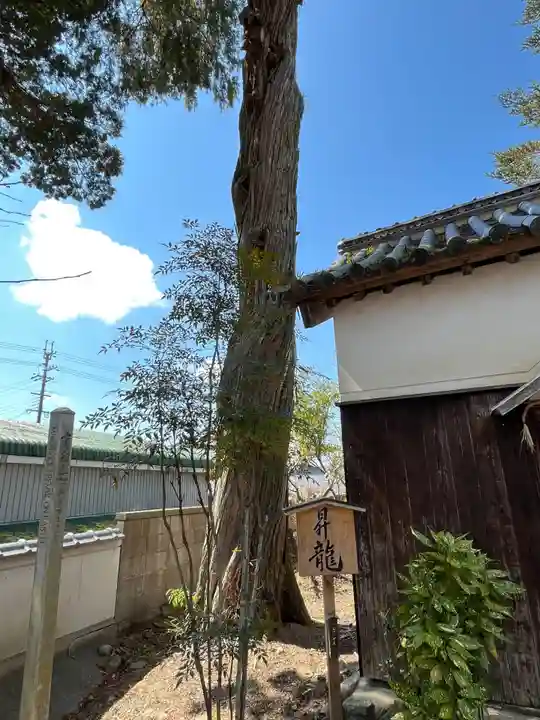 御坂神社(兵庫県)