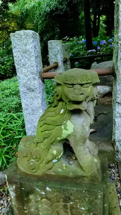 菊田神社の狛犬