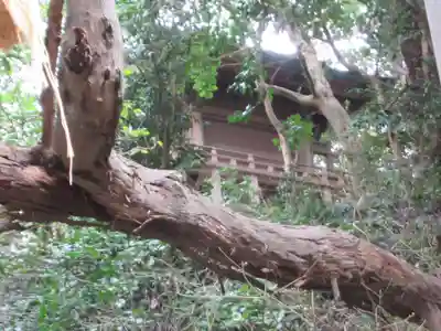 児玉神社(神奈川県)