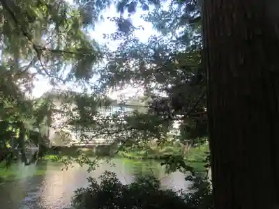 富士山本宮浅間大社(静岡県)