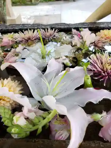 鳩森八幡神社の手水舎