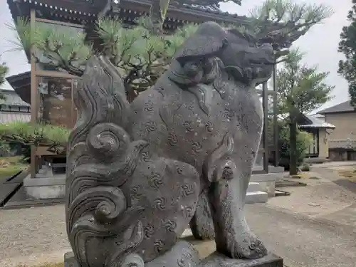 熊野神社の狛犬