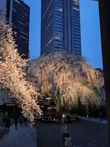 常圓寺(東京都)