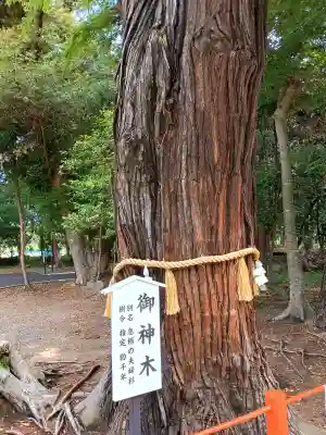 息栖神社の{uncategorized: "未分類", other: "その他", undefined: "問題あり", building: "その他建物", grave: "お墓", sacred_gate: "鳥居", guardian: "狛犬", statue: "像", buddha: "仏像", history: "歴史", nature: "自然", garden: "庭園", animal: "動物", pagoda: "塔", temizu: "手水舎", mountain_gate: "山門・神門", sanctuary: "本殿・本堂", subordinate: "末社・摂社", art: "芸術", scenery: "景色", jizo: "地蔵", ema: "絵馬", goshuin: "御朱印", omikuji: "おみくじ", items: "授与品その他", amulet: "お守り", goshuincho: "御朱印帳", eats: "食事", festival: "お祭り", votive_dance: "神楽", shichigosan: "七五三参", wedding: "結婚式", experience: "体験その他", initially: "初詣", around: "周辺", anti_infection: "感染症対策"}