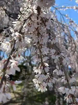 安養寺(長野県)