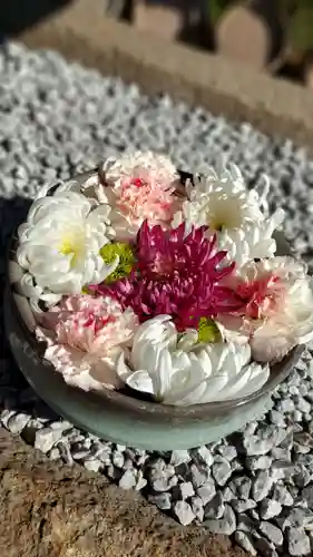 埼玉厄除け開運大師・龍泉寺（切り絵御朱印発祥の寺）(埼玉県)