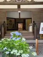 長谷寺本坊 大講堂の{uncategorized: "未分類", other: "その他", undefined: "問題あり", building: "その他建物", grave: "お墓", sacred_gate: "鳥居", guardian: "狛犬", statue: "像", buddha: "仏像", history: "歴史", nature: "自然", garden: "庭園", animal: "動物", pagoda: "塔", temizu: "手水舎", mountain_gate: "山門・神門", sanctuary: "本殿・本堂", subordinate: "末社・摂社", art: "芸術", scenery: "景色", jizo: "地蔵", ema: "絵馬", goshuin: "御朱印", omikuji: "おみくじ", items: "授与品その他", amulet: "お守り", goshuincho: "御朱印帳", eats: "食事", festival: "お祭り", votive_dance: "神楽", shichigosan: "七五三参", wedding: "結婚式", experience: "体験その他", initially: "初詣", around: "周辺", anti_infection: "感染症対策"}