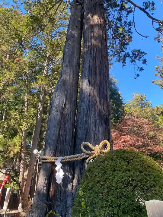 北口本宮冨士浅間神社(山梨県)