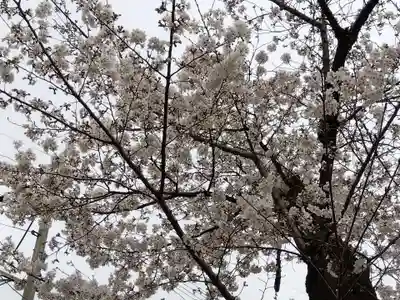 日吉神社(京都府)