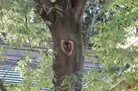 阿邪訶根神社の自然