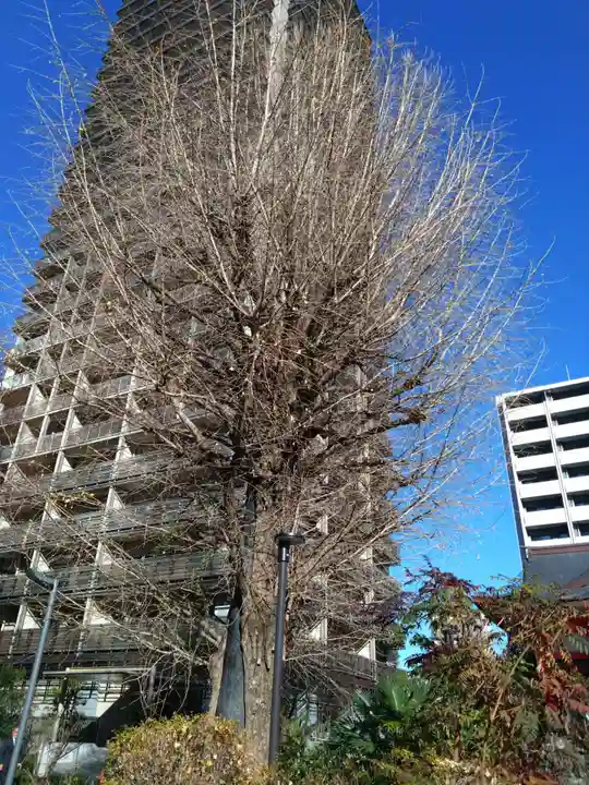 成子天神社(東京都)