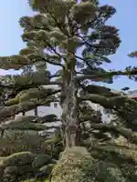 等覚寺(岐阜県)