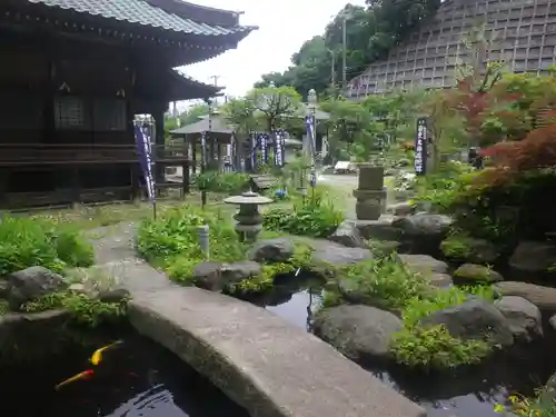 青蓮寺の庭園