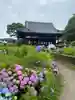 般若寺 ❁コスモス寺❁(奈良県)