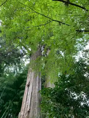 羽梨山神社(茨城県)
