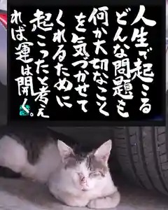 専念寺(大阪府)(2022年07月21日(木) 21時28分18秒投稿)