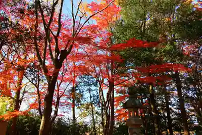 國祖神社の自然