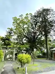 近津神社(福岡県)