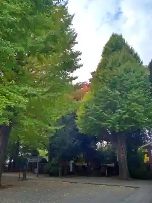 平塚神社(東京都)