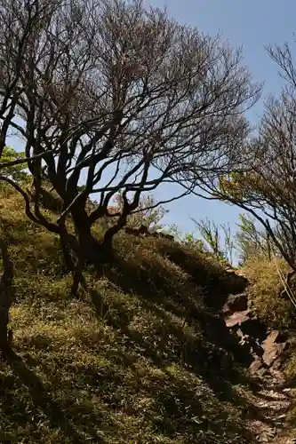 篠山神社(愛媛県)