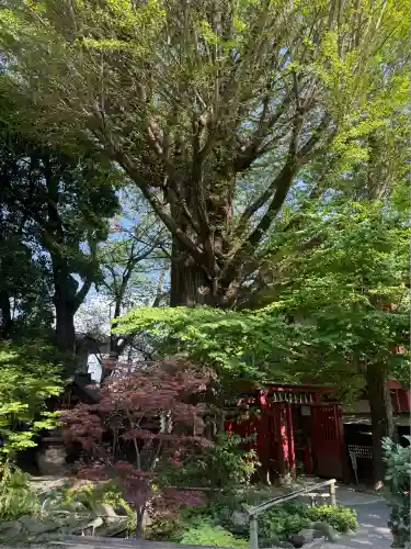 秩父神社(埼玉県)