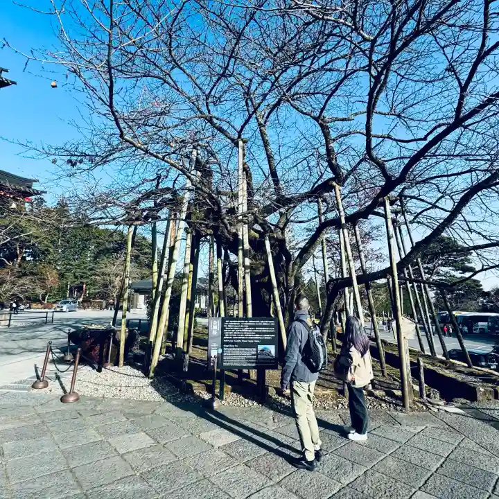日光山輪王寺三仏堂(栃木県)