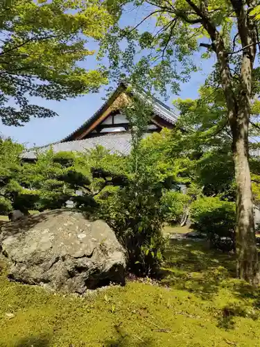 高蔵寺の庭園