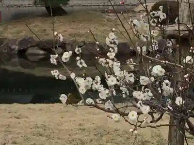 宇佐神宮(大分県)