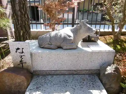 六波羅蜜寺の狛犬