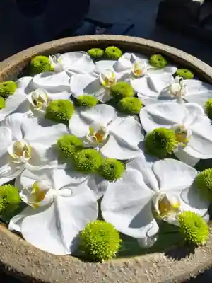 長良神社の手水舎