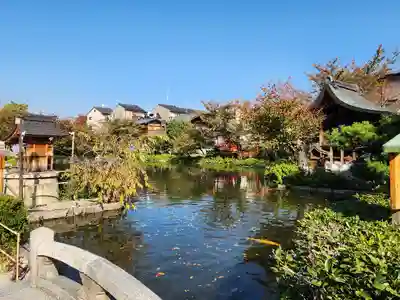 神泉苑(京都府)