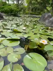 大生郷天満宮の自然