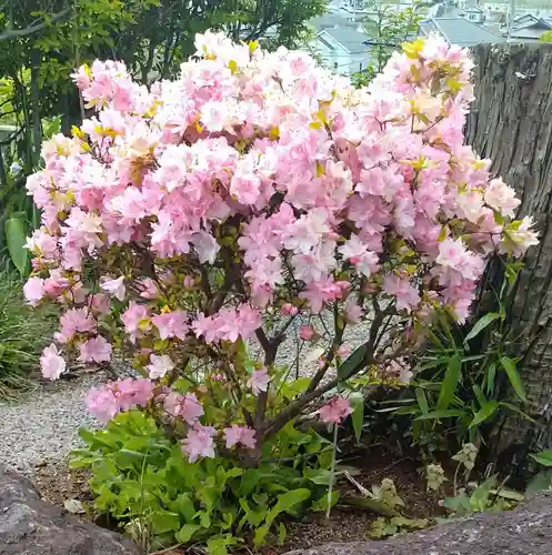 弘誓寺(宮城県)