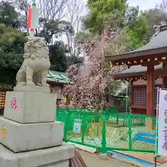 新田神社の狛犬