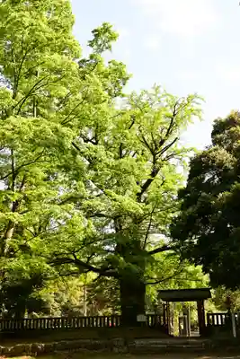 一之宮貫前神社(群馬県)