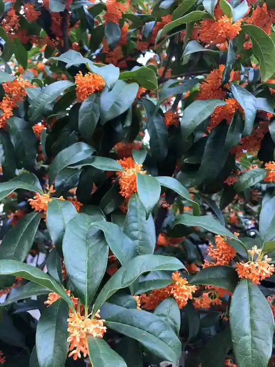福島天満宮の自然