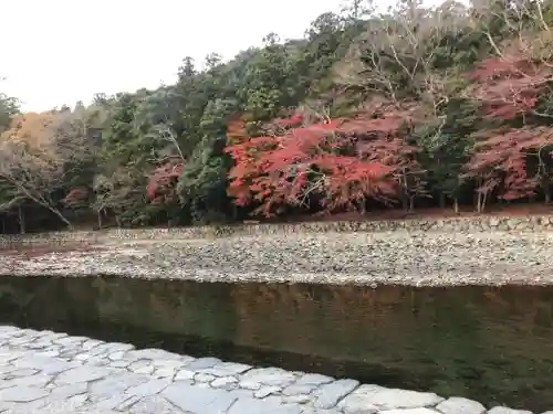 伊勢神宮内宮（皇大神宮）の自然