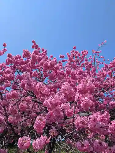 本牧神社(神奈川県)