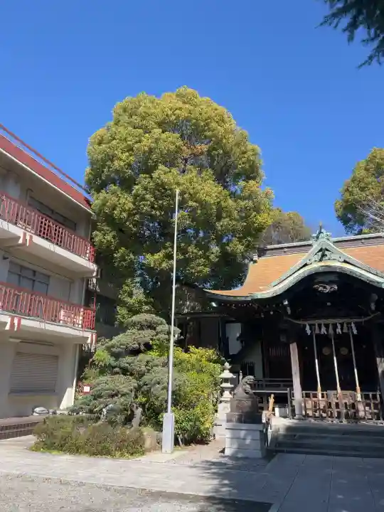 住吉神社の{uncategorized: "未分類", other: "その他", undefined: "問題あり", building: "その他建物", grave: "お墓", sacred_gate: "鳥居", guardian: "狛犬", statue: "像", buddha: "仏像", history: "歴史", nature: "自然", garden: "庭園", animal: "動物", pagoda: "塔", temizu: "手水舎", mountain_gate: "山門・神門", sanctuary: "本殿・本堂", subordinate: "末社・摂社", art: "芸術", scenery: "景色", jizo: "地蔵", ema: "絵馬", goshuin: "御朱印", omikuji: "おみくじ", items: "授与品その他", amulet: "お守り", goshuincho: "御朱印帳", eats: "食事", festival: "お祭り", votive_dance: "神楽", shichigosan: "七五三参", wedding: "結婚式", experience: "体験その他", initially: "初詣", around: "周辺", anti_infection: "感染症対策"}