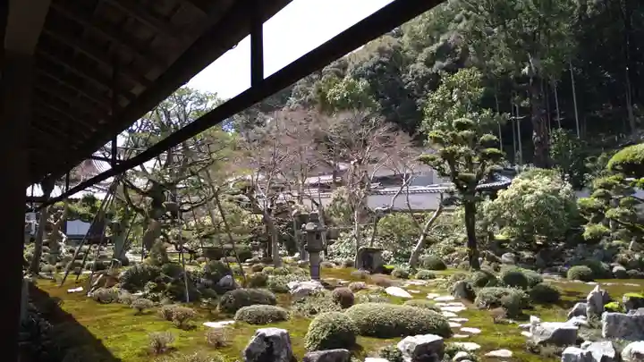 金剛寺(大阪府)